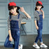 Denim Overalls