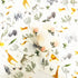 Newborn Swaddle Blankets
